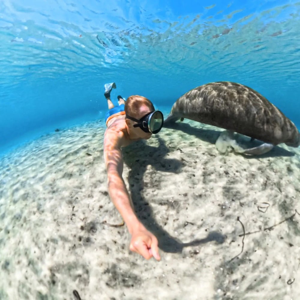 Insta360 - insta360 X5 Invisible Dive Case - Cle Market