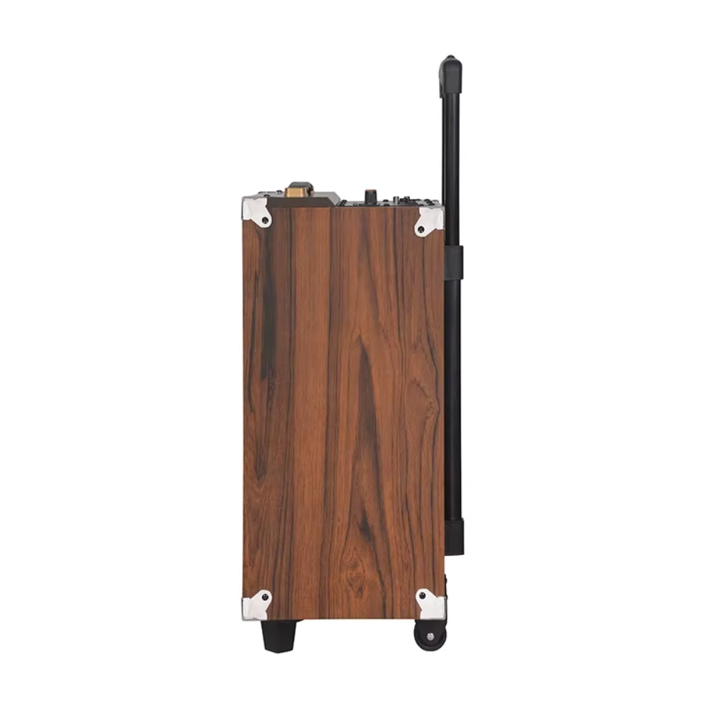 BAAB B-Q12 12” Karaoke Speaker Portable