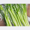 Beper Vacuum Sealer Bag Roll