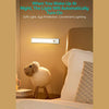 Coteci 20cm Sensor Light Motion LED