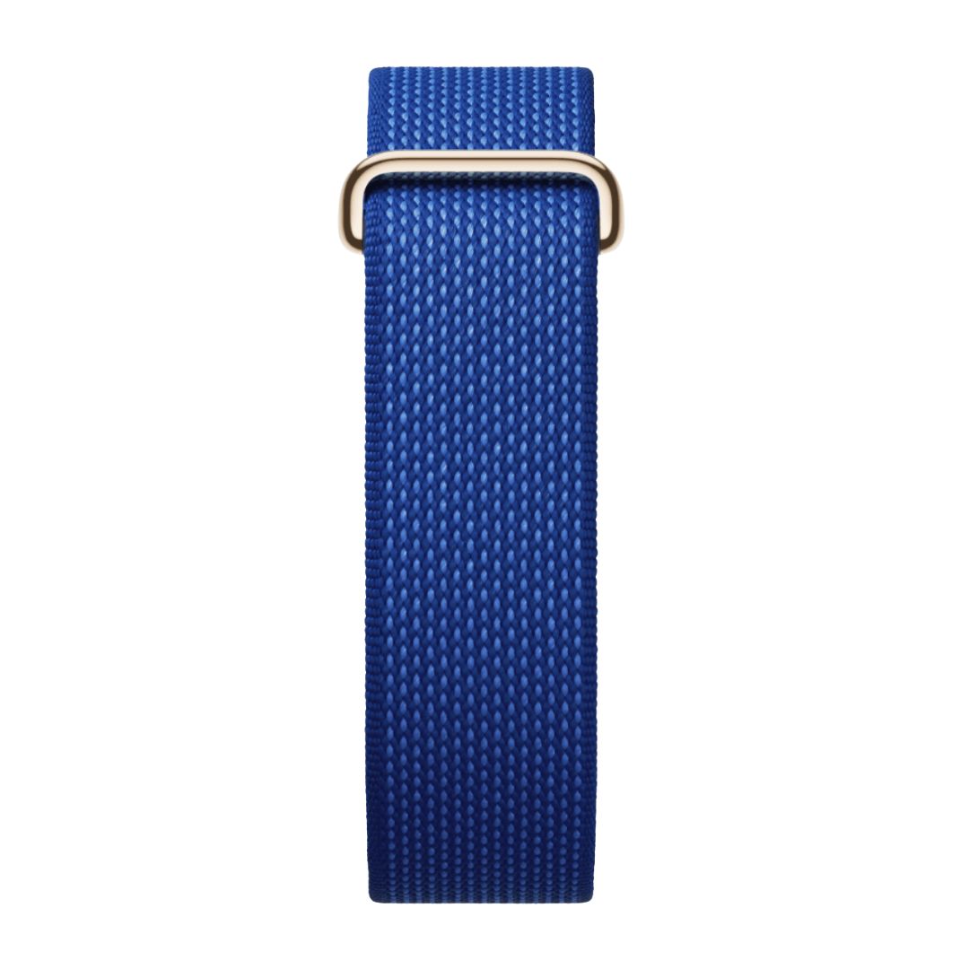 Google Fitbit Air Pokémon Sleep Band