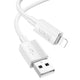 Hoco X107 USB to Lightning Cable