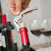 InnovaGoods Bottle Wine Set