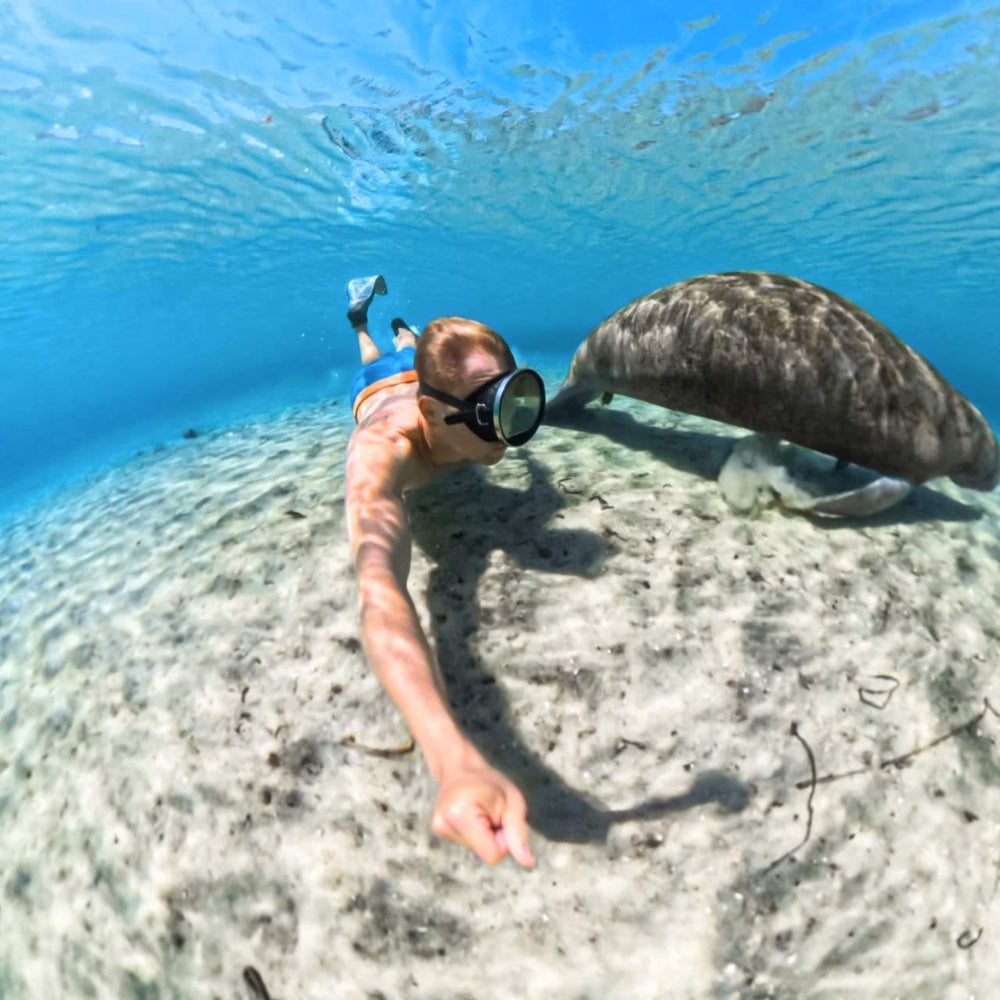 Insta360 X5 Invisible Waterproof Case