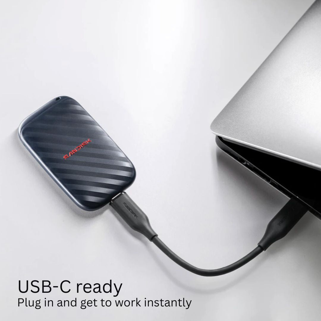SanDisk Portable SSD 1TB 600MB/s