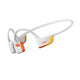 Shokz OpenRun Pro 2