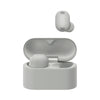 Sony WF-1000XM6 ANC Wireless Earbuds
