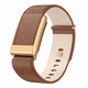 Whoop 5.0 Life Leather Band