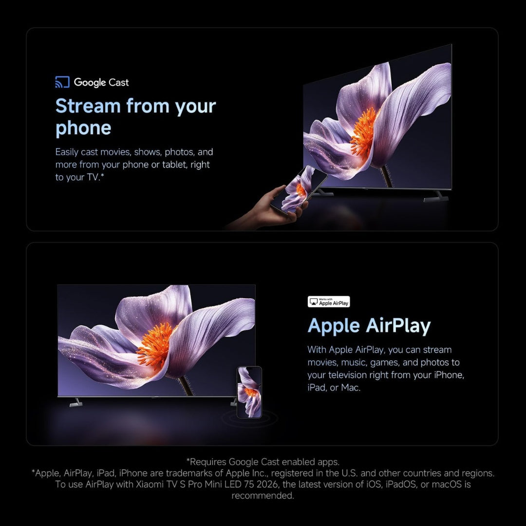 Advertisement for Google Cast and Apple AirPlay features on a television screen displaying flowers.