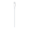 Apple USB-C to Lightning Cable (1m)