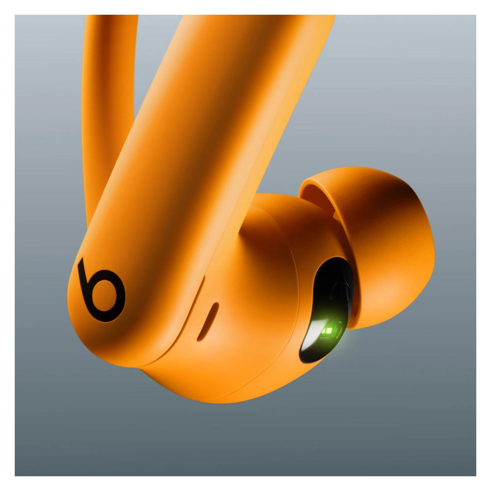 Beats Powerbeats Pro 2
