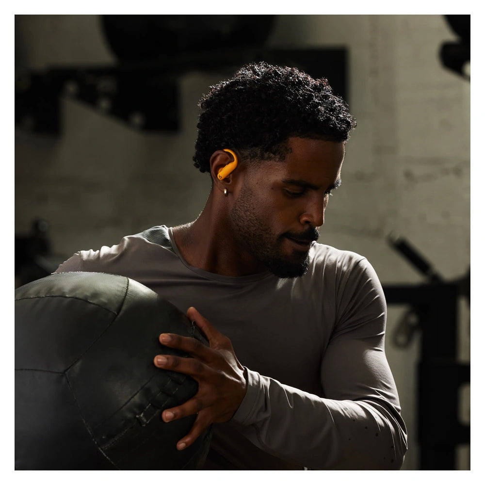 Beats Powerbeats Pro 2