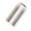 Coteci - Coteci Magnetic Crossbody Lanyard Strap for iPhone - Cle Market