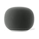 Google Home Speaker