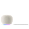 Google Home Speaker