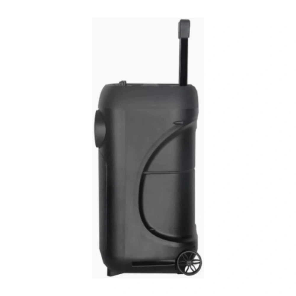 JBR-1206 12-Inch Bluetooth Trolley Speaker