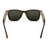 Ray-Ban Meta Wayfarer Gen 3 Havana Green