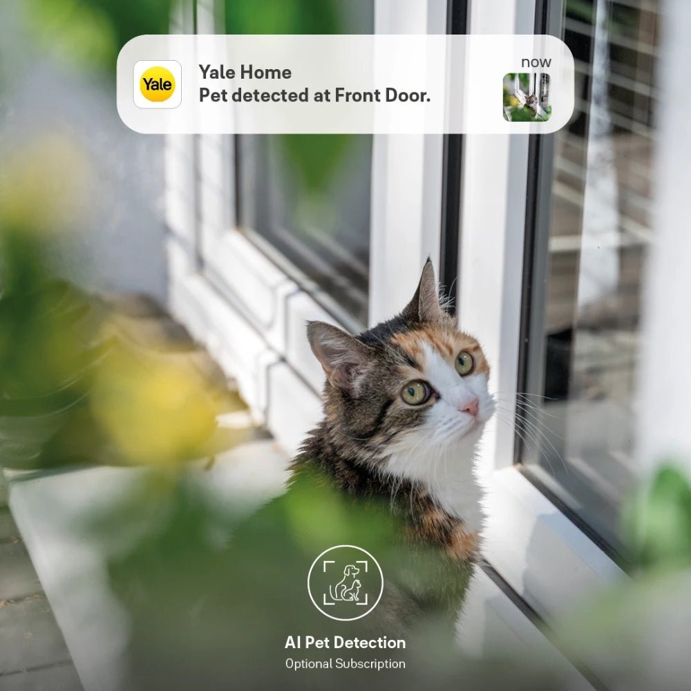 Yale - Yale Smart Outdoor Camera - Cle Market